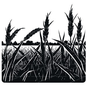 Corn Field Svg & PNG Files, Farmers Clipart Silhouette, Gain Vector Images, SVG For T shirt Design, Transparent Background print