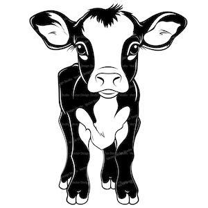 Cute Baby Cow Svg & PNG Files, BabyFarm animals Clipart Silhouette Vector Image, Kids SVG For T shirt Design Transparent Background