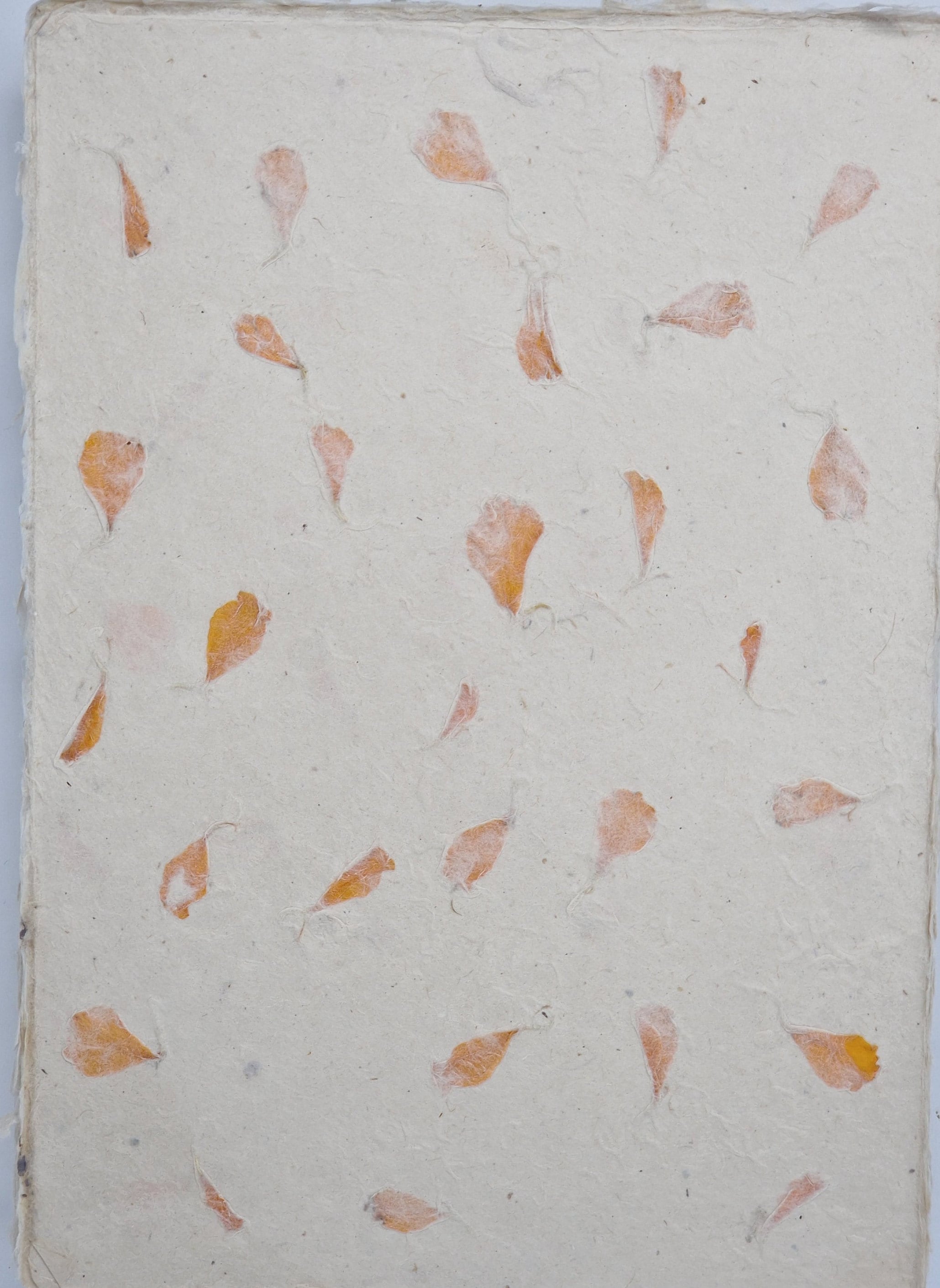 A4 Lokta Paper, Decled Edge Handmade Paper, Marigold petal design pack 20 sheets, Nepalese Mountain Lokta Handmade Paper, use for printing