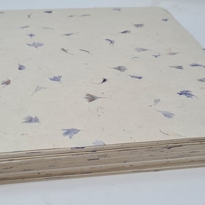May include: A stack of cream-coloured paper with pressed purple flowers throughout. The paper is thick and has a rough texture.