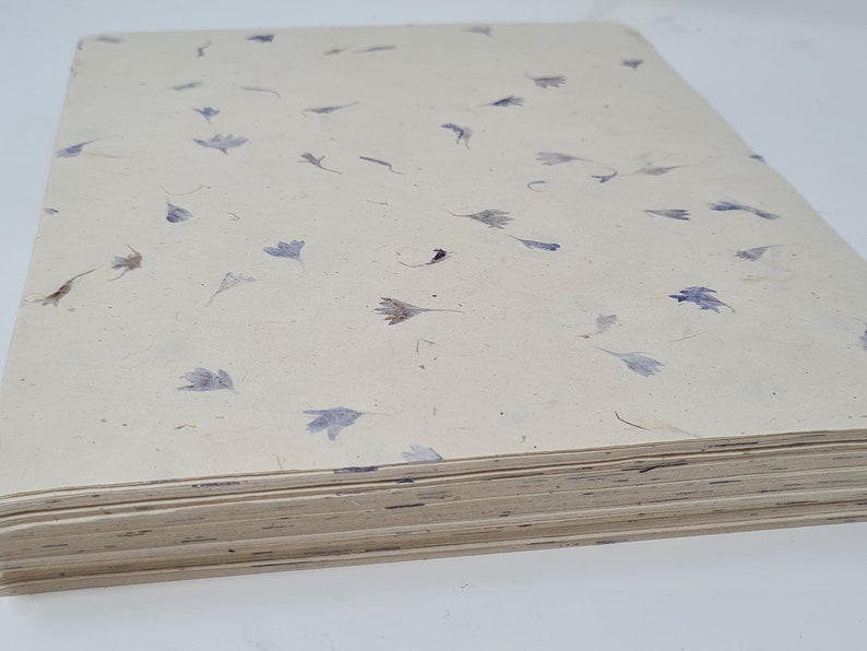 May include: A stack of cream-coloured paper with pressed purple flowers throughout. The paper is thick and has a rough texture.