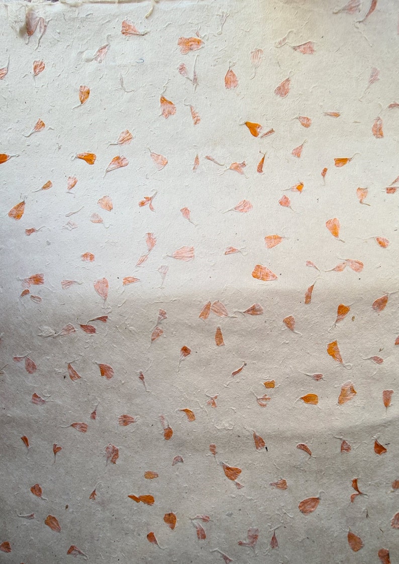 Handmade Lokta Wrapping Paper with Petals Design, Fair Trade and Eco-Friendly Marigold Petal