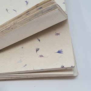 Handgemaakt Lokta-papier A4: papier korenbloemblauwe bloemblaadjes - 20 vel