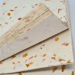 lokta Carta A4 Carta fatta a mano, Petalo di fiordaliso Carta fatta a mano Carta A4/Carta fatta a mano Nepal, Carta artigianale, Carta ecologica