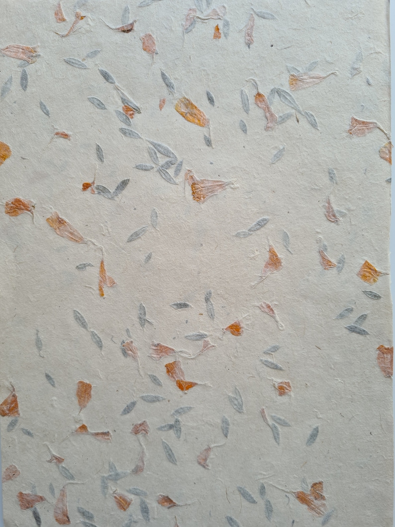 May include: A sheet of handmade paper with embedded dried flowers and leaves. The paper is a light beige color and the flowers and leaves are a light orange and gray.