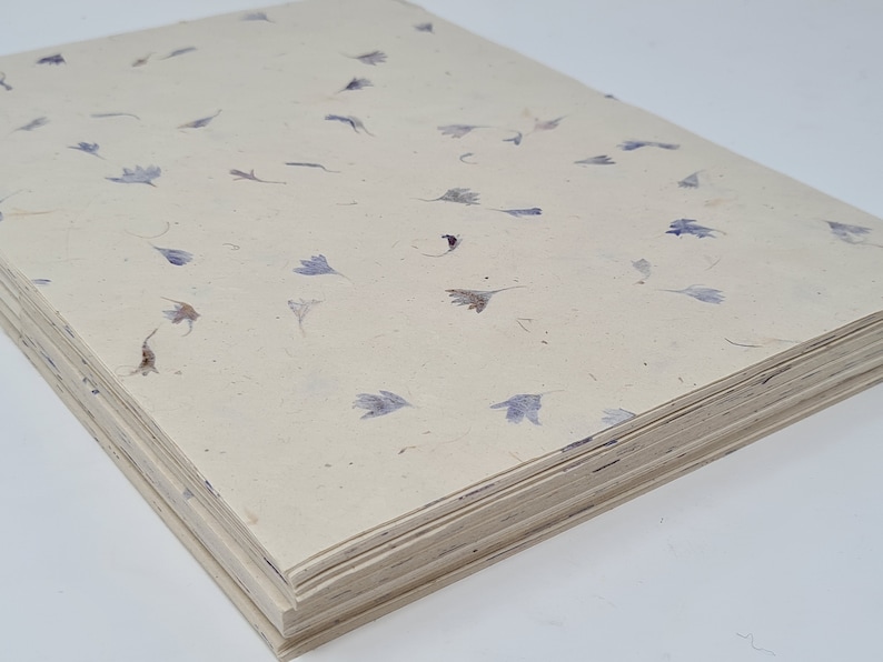 May include: A stack of cream-colored paper with small, pressed purple flowers embedded throughout. The paper is slightly textured and has a natural, handmade look.