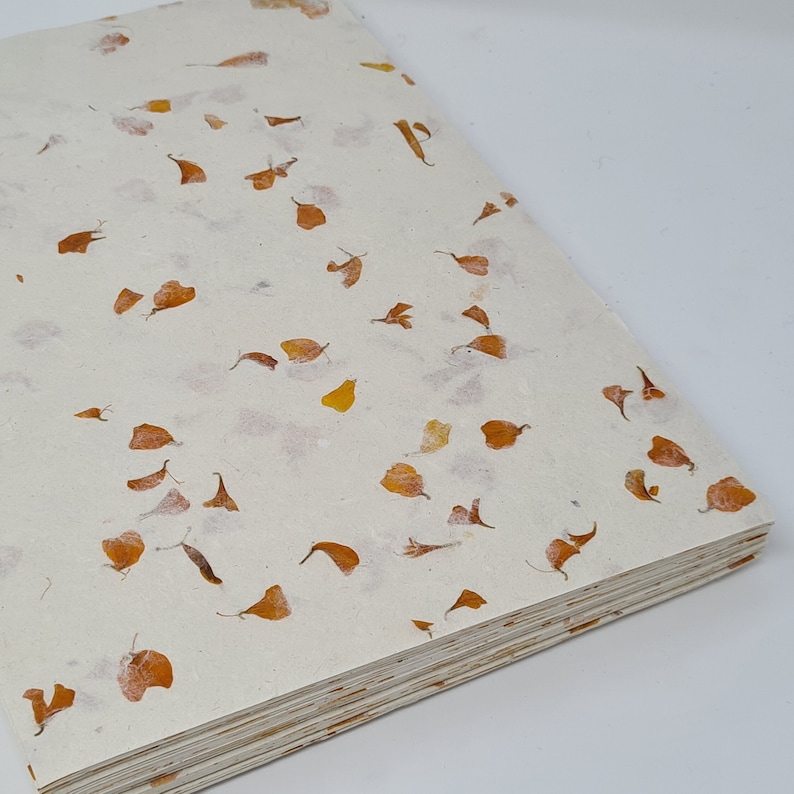 May include: A stack of blank paper notebooks with a white cover and a pattern of pressed orange flower petals.