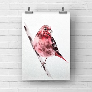 Original watercolor birds painting, common house finch, 4x6 inches