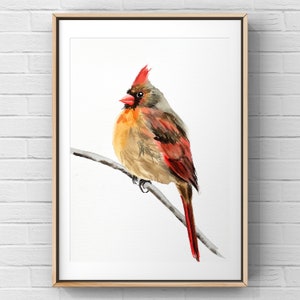 Original watercolor female cardinal bird painting,8x10 inches