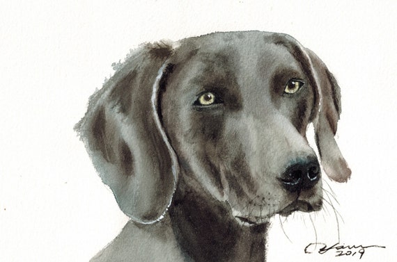Custom Watercolor Pet Portrait Painting | Etsy