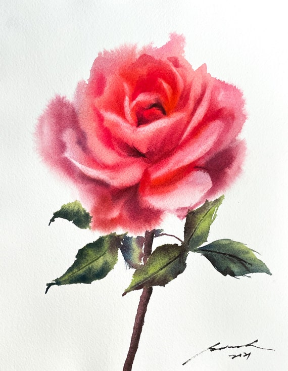 Rose Painting 952, Simple Painting 26 Set -  Denmark