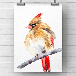 Original watercolor female cardinal bird painting, 4x6 inches