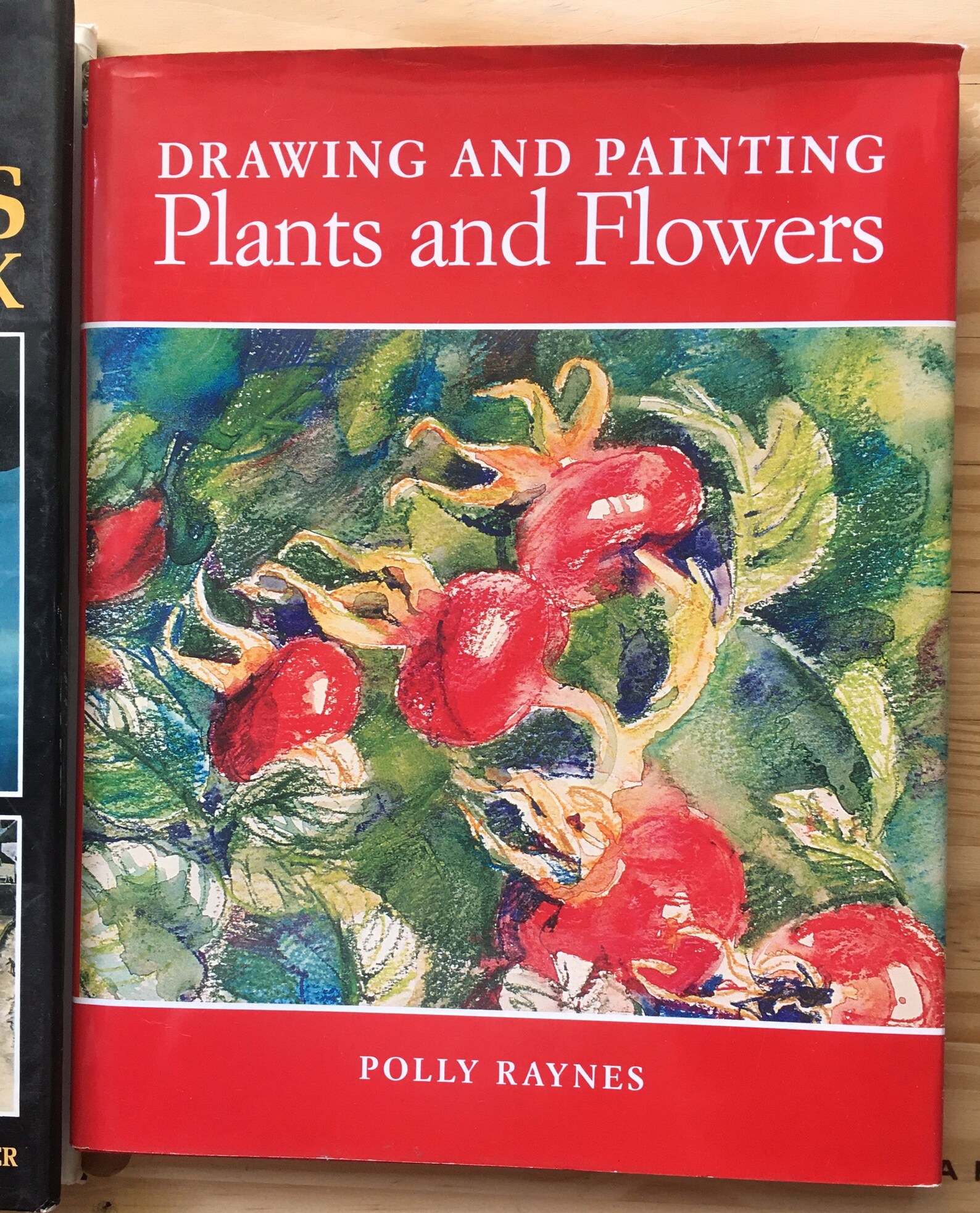 Set of 2 Books on Drawing & Painting Etsy