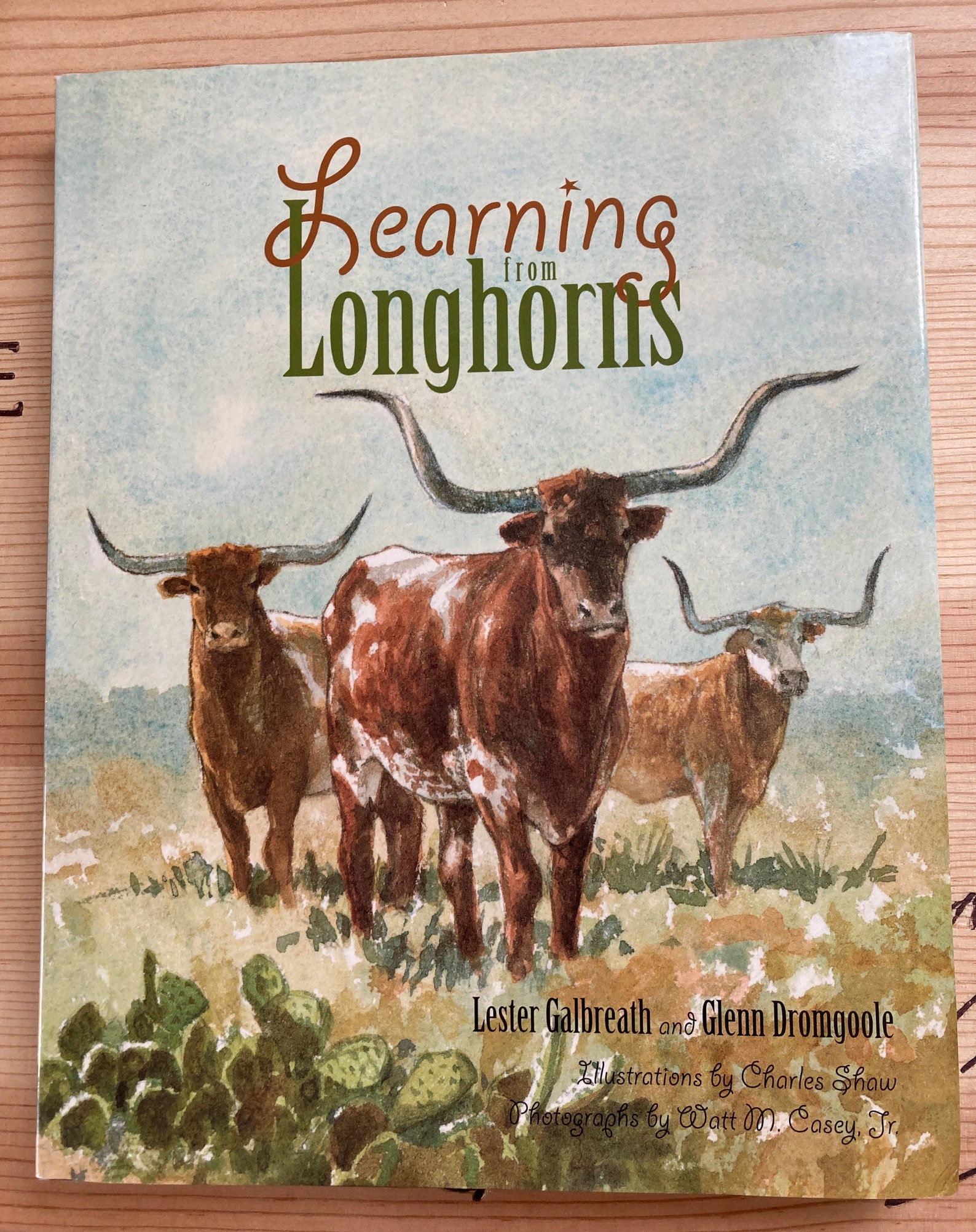 Longhorn Lesters New Property - wyzgw82