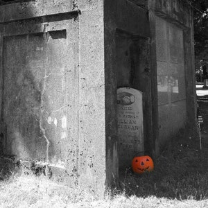 One Vibrant Pumpkin - Cryptkeeper