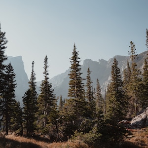 Colorado photo, Wall art, Home décor, Tall pine trees, Digital download, Travel Photography, Rock Mountain photo