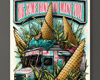 Big Something & Too Many Zooz - Gig Poster