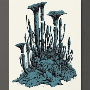 May include: A blue and white illustration of a cluster of stylized mushrooms growing on a rocky surface. The mushrooms have tall, slender stems and delicate, bell-shaped caps.
