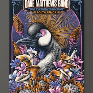 Dave Matthews Band - Gig Poster