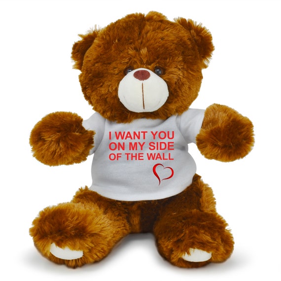 i want teddy bear