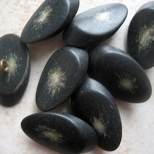 Könnte beinhalten: Eine Sammlung von acht schwarzen ovalen Knöpfen mit einem weißen Wirbelmuster. Die Knöpfe haben eine glatte, polierte Oberfläche.