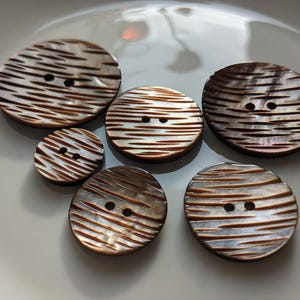 Vackra, även stora, bruna pärlemorknappar, frästa från 18 mm till 38 mm