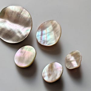 7x / 14x Pärlemorknappar med öljett - Guldfisk - 14 mm till 27 mm - Knappar