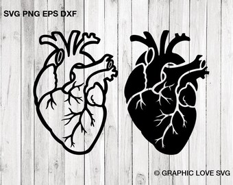 Anatomical Heart Svg Etsy