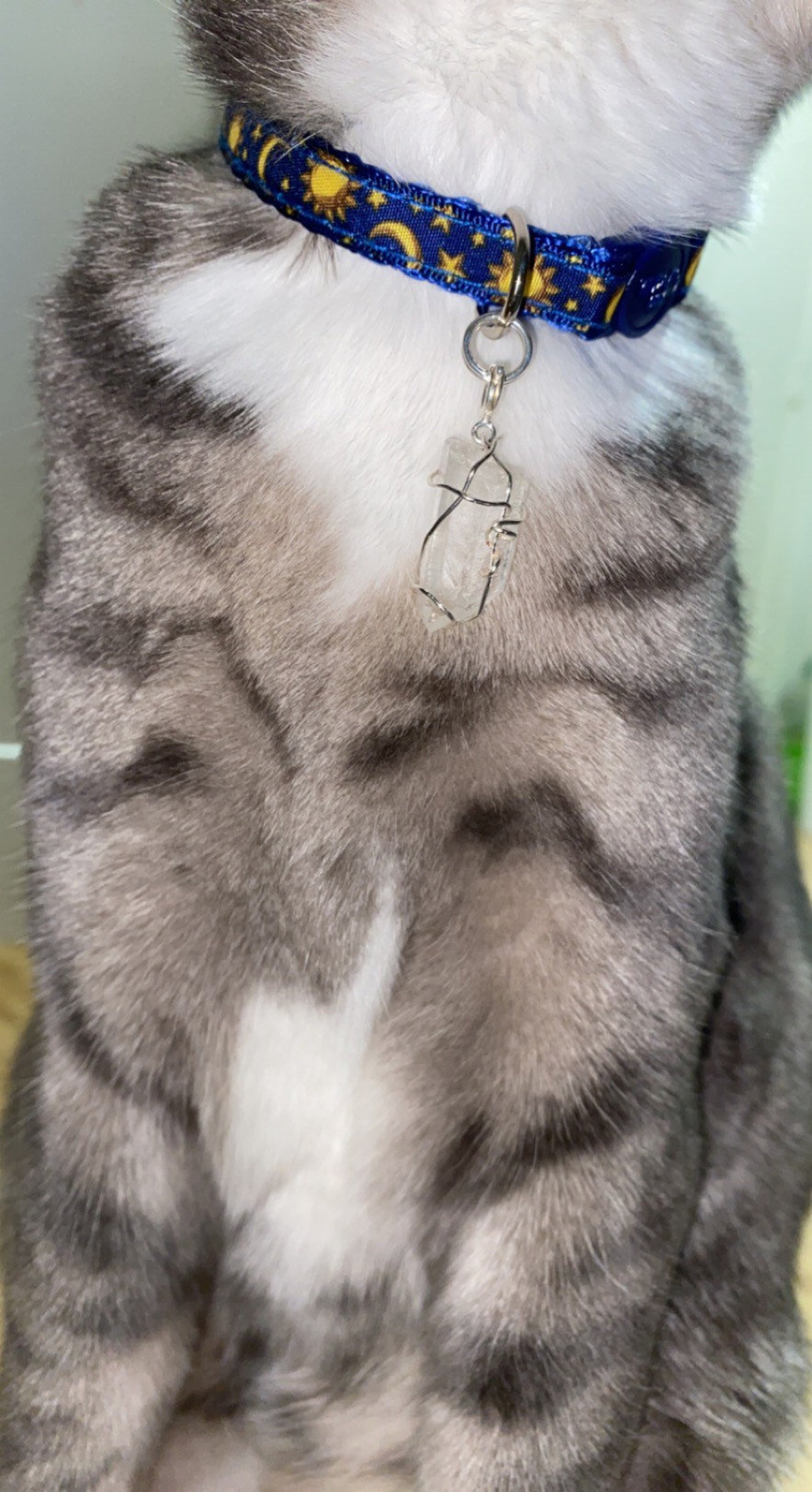 Unique Crystal Cat Collar Charm Healing Crystals For Cats Etsy