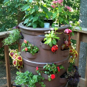 Statement Floral Display - 16 Pocket Planter in Chocolate Brown - Showcase Your Favorite Plants & Flowers All Summer Long