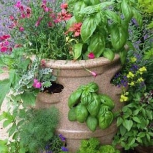 Herb Garden Planter W/Center Watering Tube - Holds up to 22 Different Plants - Durable Outdoor Planter in 3 Beautiful Colors to Choose From