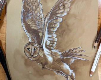 Walnut Owl - Original 8" x 10" Artwork - Hand Drawn Animal Illustration - Realistic barn owl painting - Mixed Media Drawing