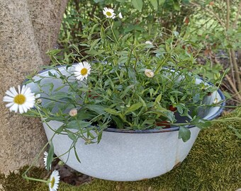 Vintage Emaille Schüssel grau Pflanzgefäß Gartendekoration