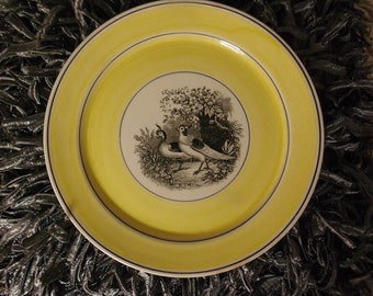 Villeroy & Boch India Plate Dinner Plate Rarity