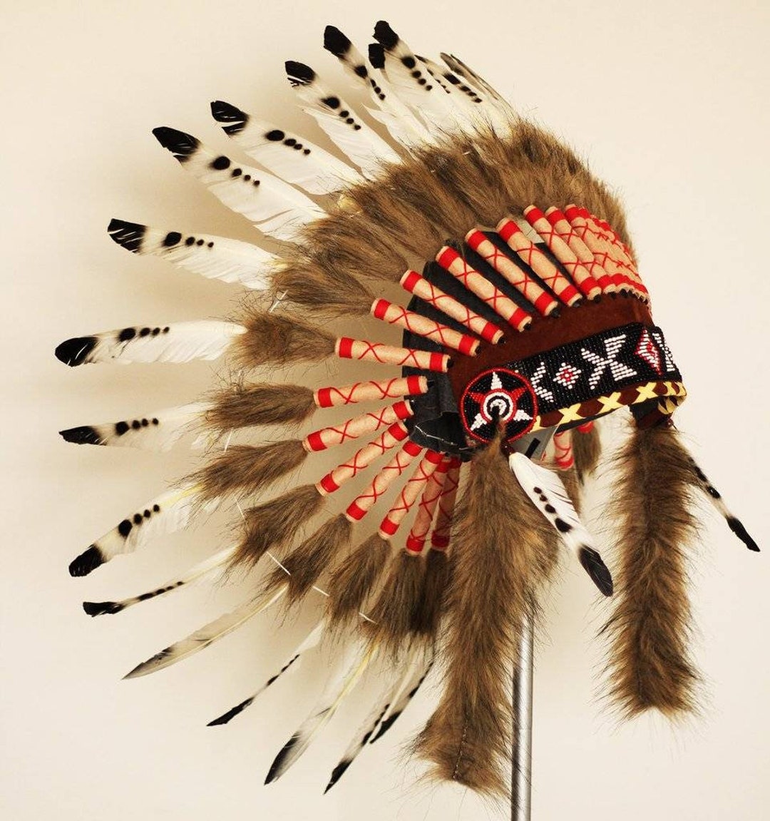 Tocado de plumas extra grande de tres colores | Inspirado en indios nativos  americanos, Cisne marrón