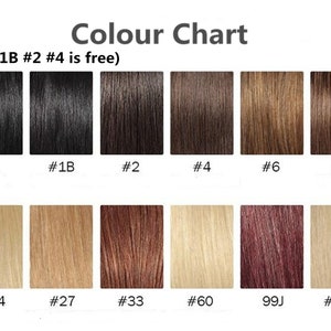 May include: Color chart showing different shades of hair extensions. The colors are labeled with numbers, including #1, #1B, #2, #4, #6, #8, #24, #27, #33, #60, 99J, and #613. The text "(#1 #1B #2 #4 is free)" is at the top of the chart.
