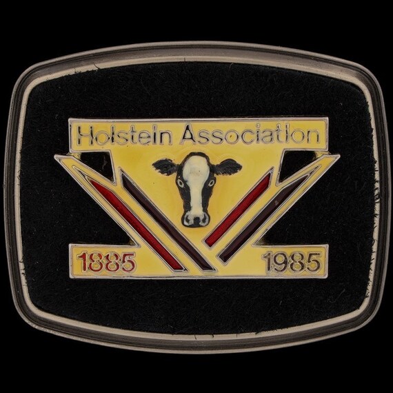 New W/Box Holstein Assn Dairy Cow Cattle Milk Produce… Gem