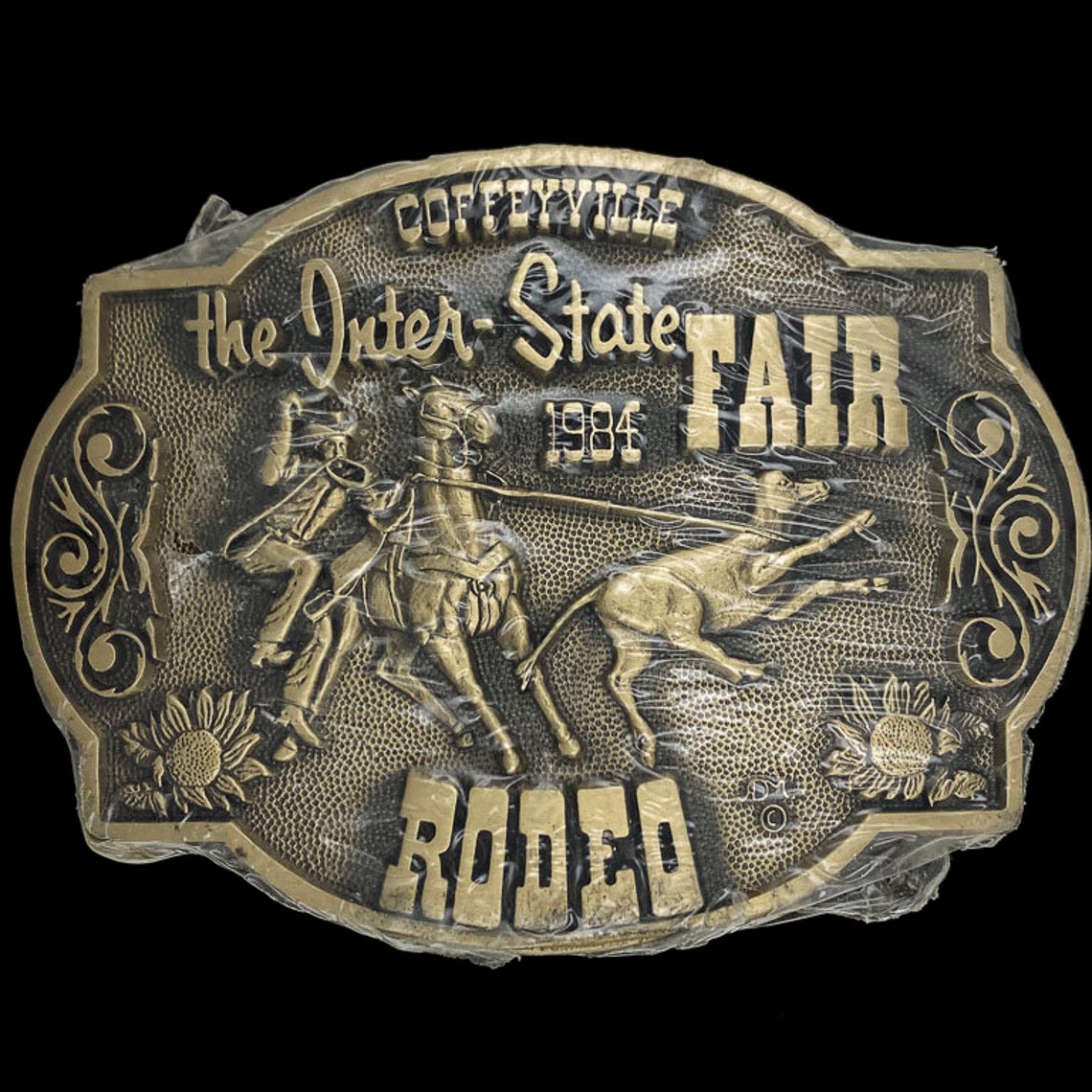 Coffeyville Kansas Inter State Fair Rodeo Steer Bull Rider Etsy