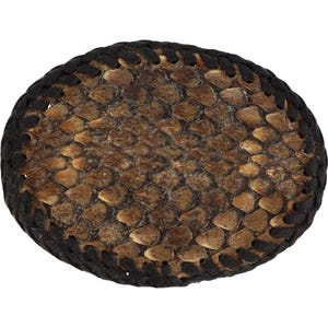 Snake Skin Rattlesnake Python Western Cowboy Biker 1990s Vintage Belt Buckle Handmade Snakes Reptile Taxidermy Rattler