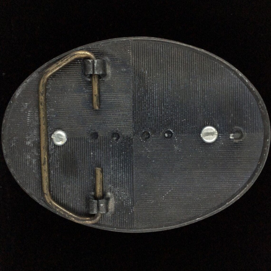 Gun Owners Action League Rights Advocate 2nd Etsy