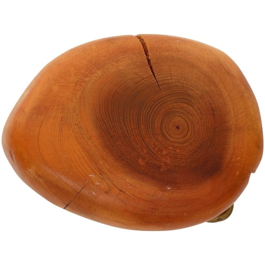 Handmade Exotic Wood Tree Hippie Boho Cowgirl Vintage Belt Buckle W/ Abalone Handmade Exotic Wood Tree Hippie Boho Cool Cowboy 1980s  main image 3