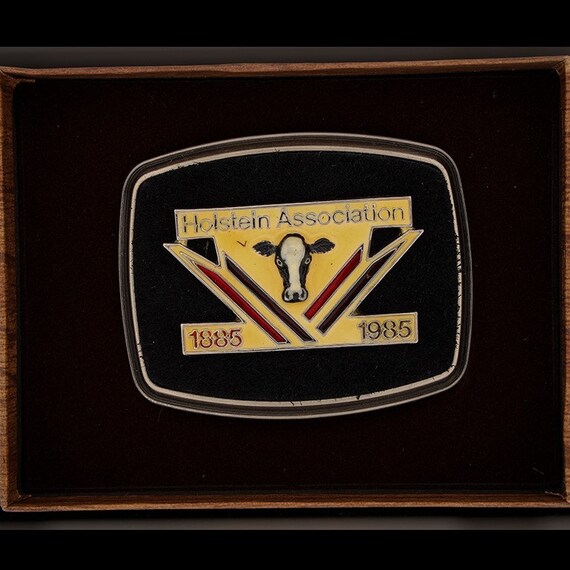 New W/Box Holstein Assn Dairy Cow Cattle Milk Produce… Gem