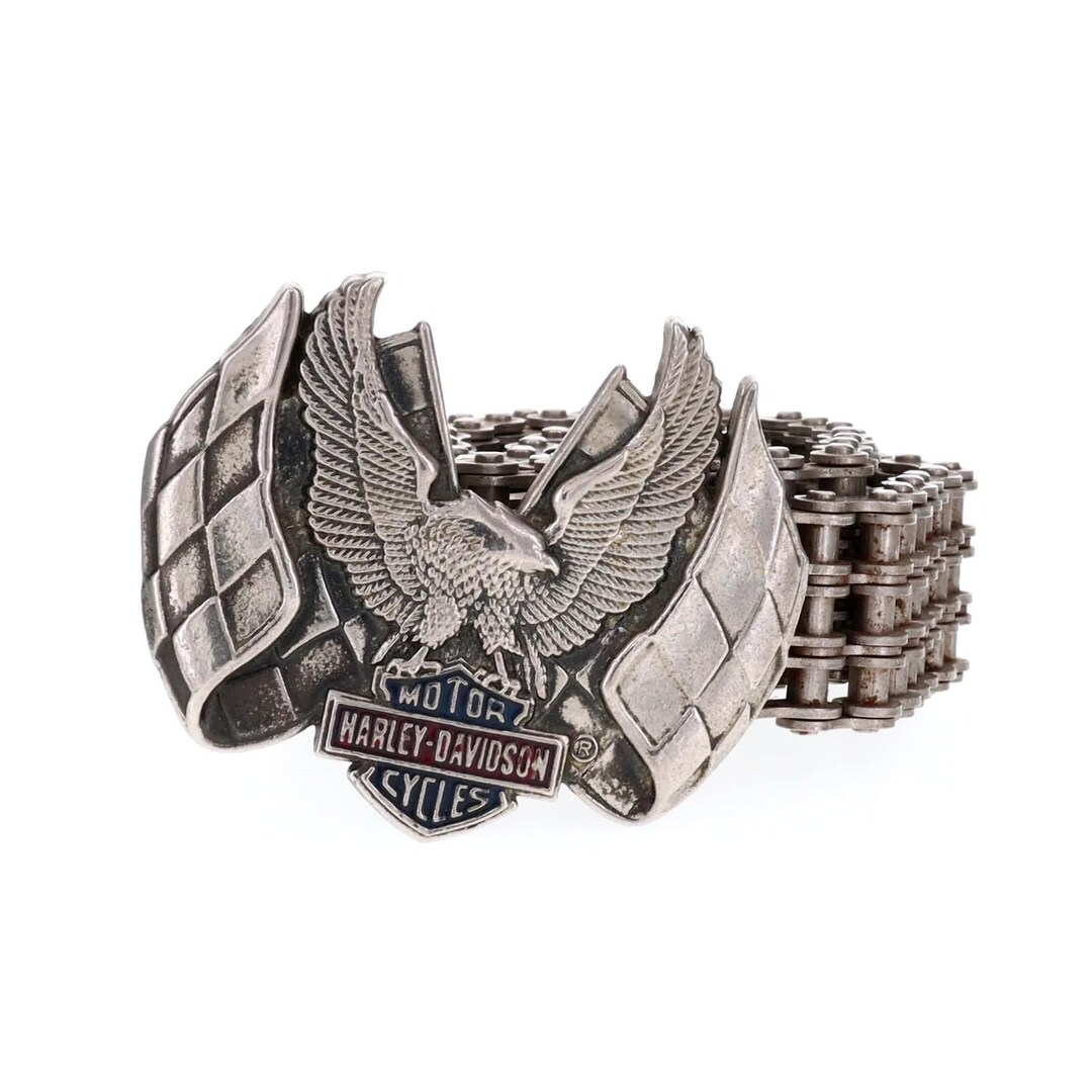 1970s Harley Davidson Eagle Checkered Flag Primary Chain  display picture 2
