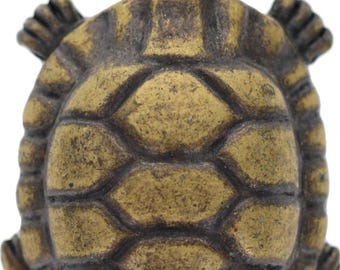 Żółw morski, skorupa żółwia morskiego, gad morski, zwierzę domowe, pasek w stylu vintage, bransoletka Concho Bolo, centralny element skórzany, ocean, wybrzeże, hipisowska skorupa