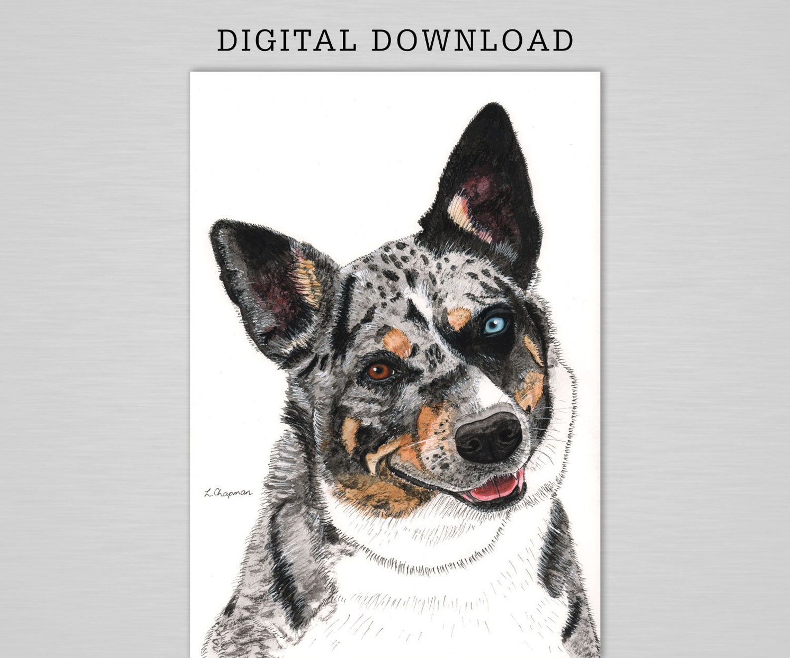 Australischer Koolie Hund Digitaler Download Etsy