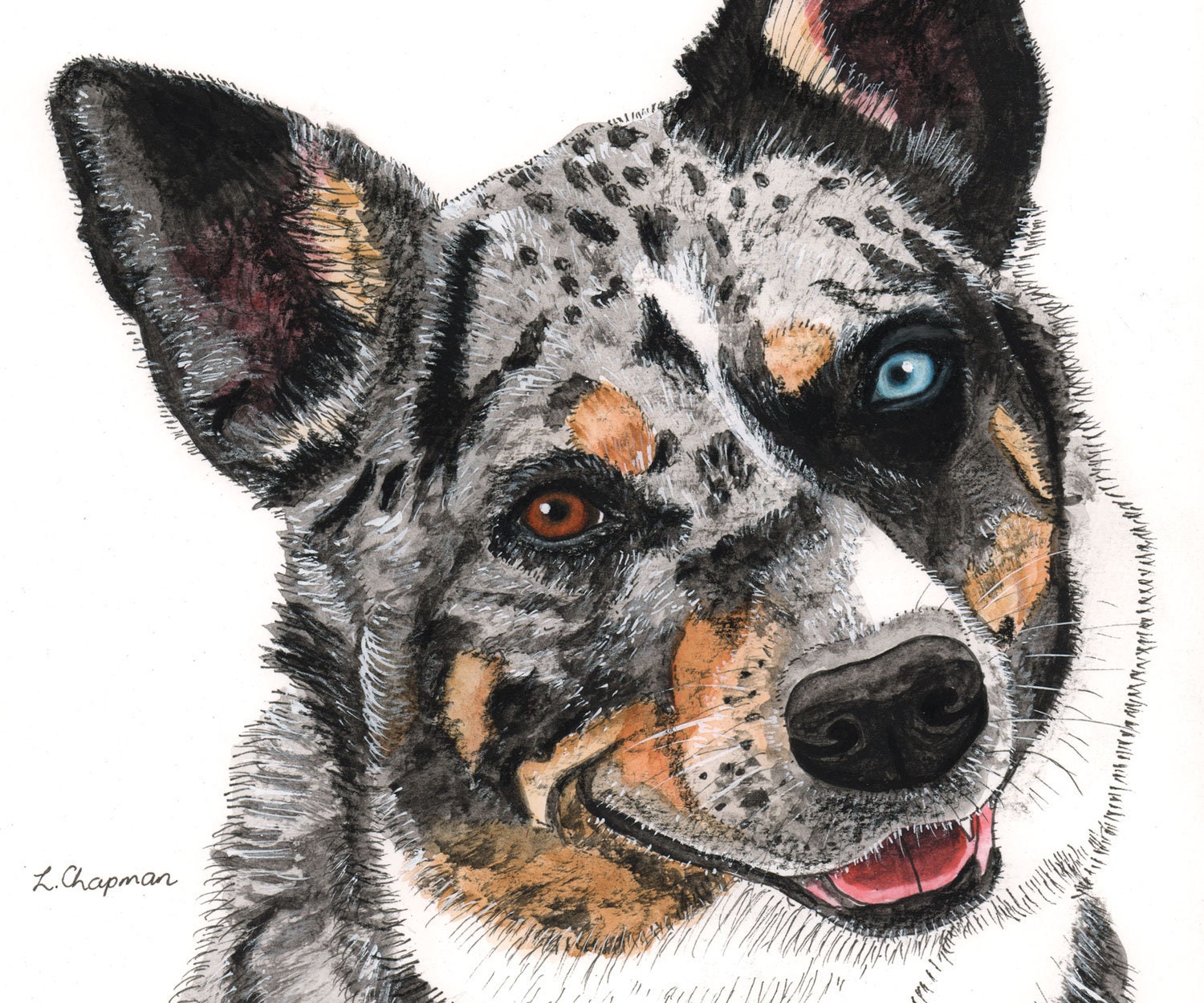 Australischer Koolie Hund Digitaler Download Etsy