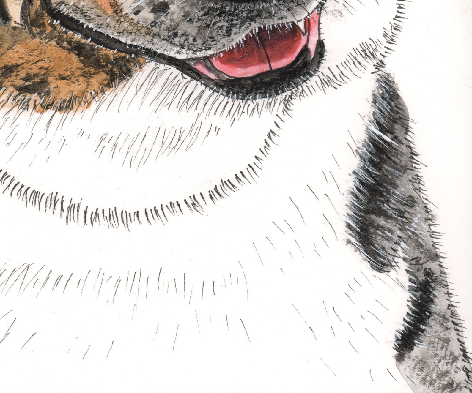 Australischer Koolie Hund Digitaler Download Etsy