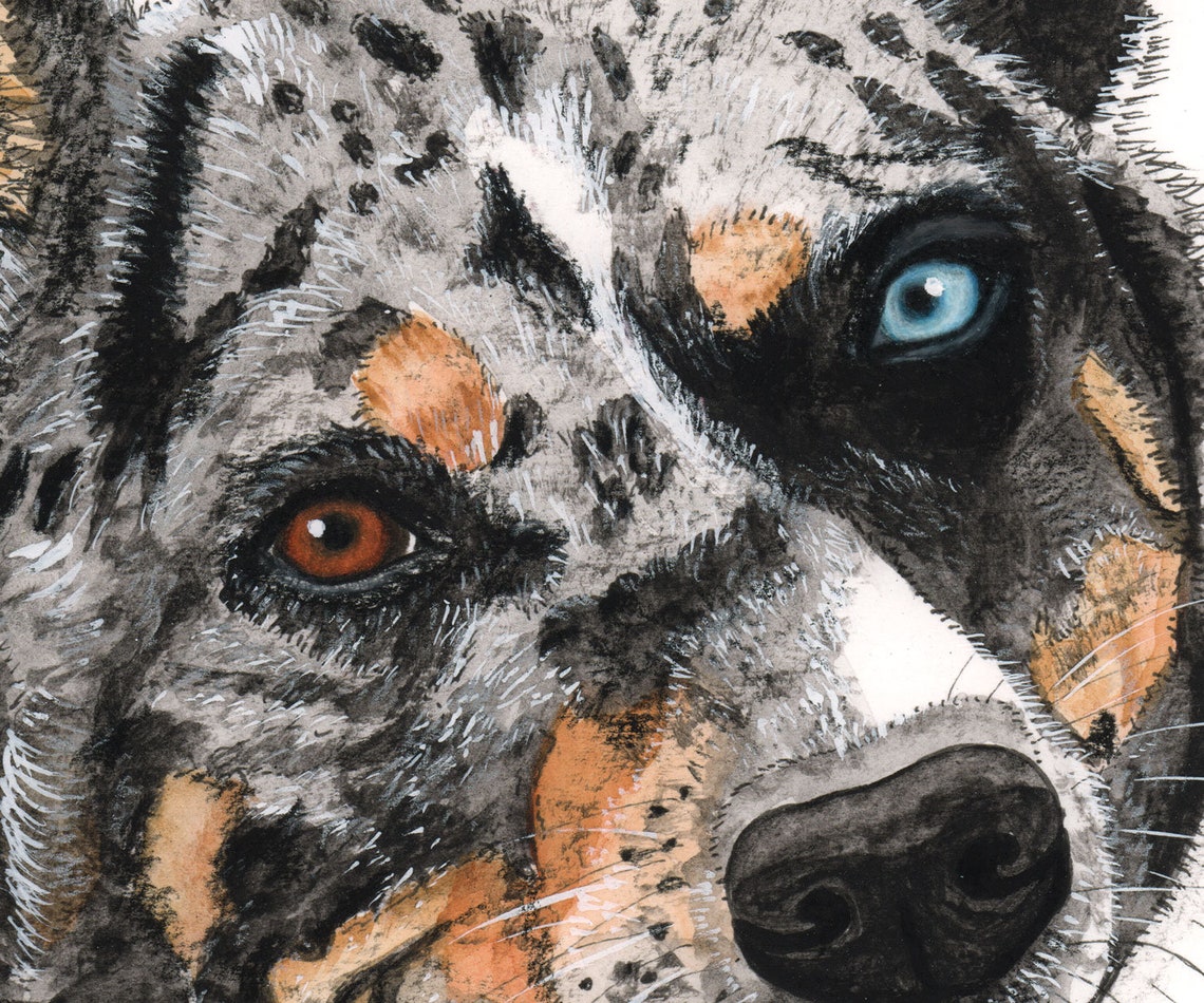 Australischer Koolie Hund Digitaler Download Etsy