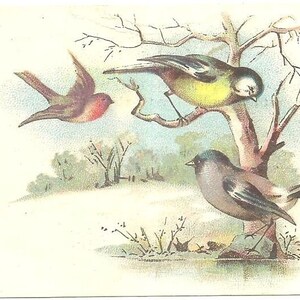 Cartes postales de l'époque victorienne pour oiseaux de farine de moulins à rouleaux de Vienne dans des paysages enneigés et deux jolies petites filles Peoria, Illinois