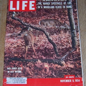 Revistas Life 1954 Octubre Noviembre Noticias Entretenimiento Política Publicidad Cumpleaños Aniversario Regalos